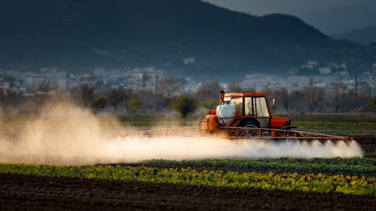 Bilimsel araştırma: Yaygın tarım ilaçları erkek üreme sağlığını sessizce tehdit ediyor 