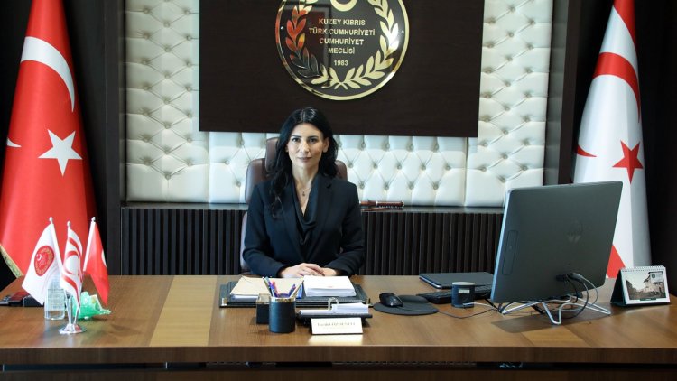 '2025 yılının ilk 10 ayında 879 şiddet şikâyeti polis kayıtlarına geçti'