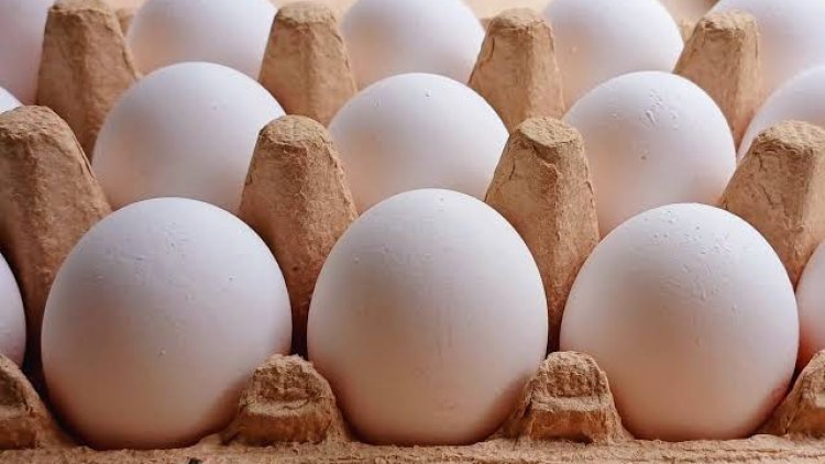ABD’de yumurta fiyatlarını manipüle eden üç üreticiye 3,5 milyon dolar ceza, 53 milyon yumurta bağışı