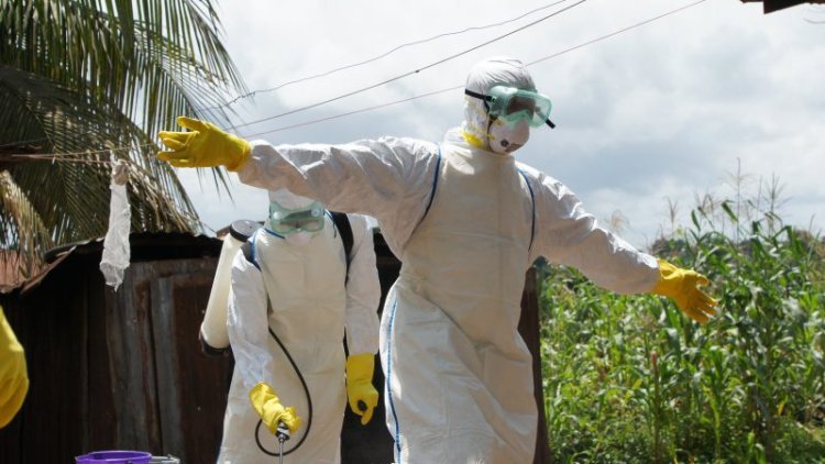 Ebola Kongo’da hızla yayılıyor: Üç ayda 1.960 kişi hayatını kaybetti