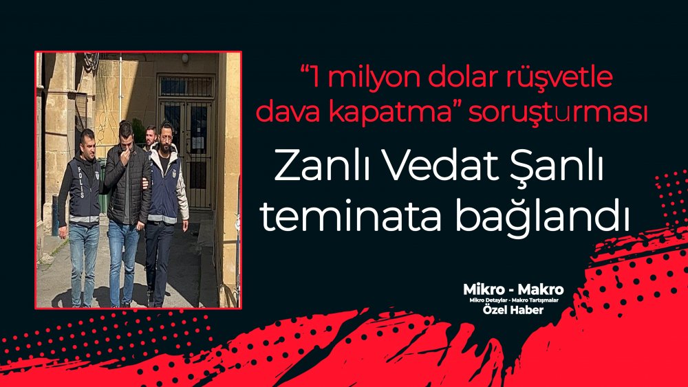 https://mikro-makro.net/zanli-vedat-sanli-teminata-baglandi