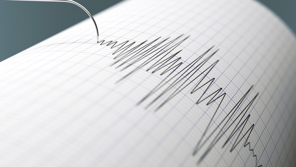 https://mikro-makro.net/mugla-merkezli-58-buyuklugunde-deprem-cevre-illerde-ve-giritte-hissedildi