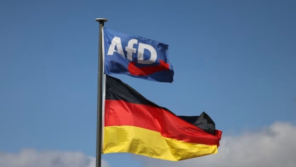 https://mikro-makro.net/afd-almanyada-ikinci-eyaleti-de-kazanabilir-isvecte-asiri-sag-yukseliyor