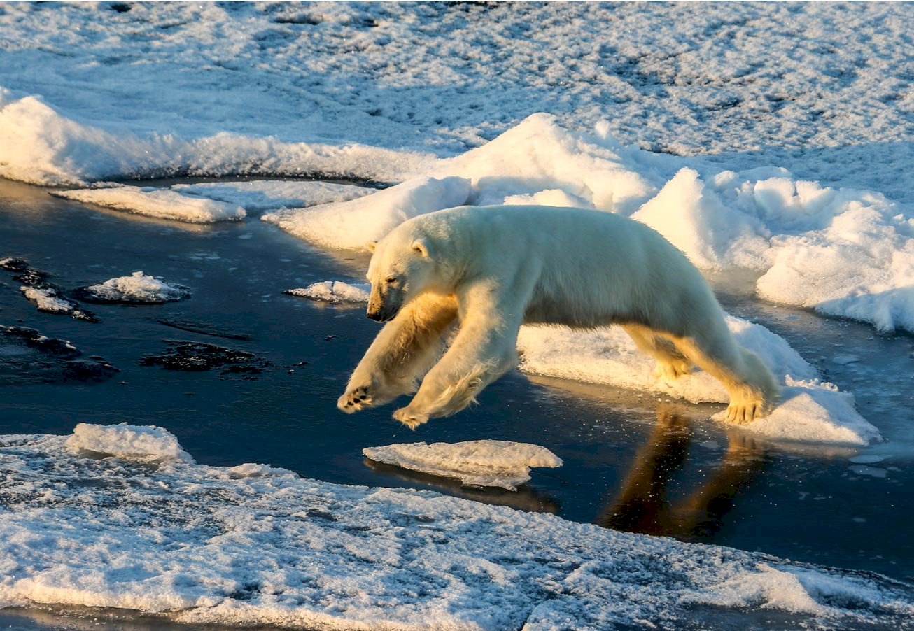 Okyanus yüzey sıcaklıklarında görülen rekor dünyayı nasıl etkileyecek?