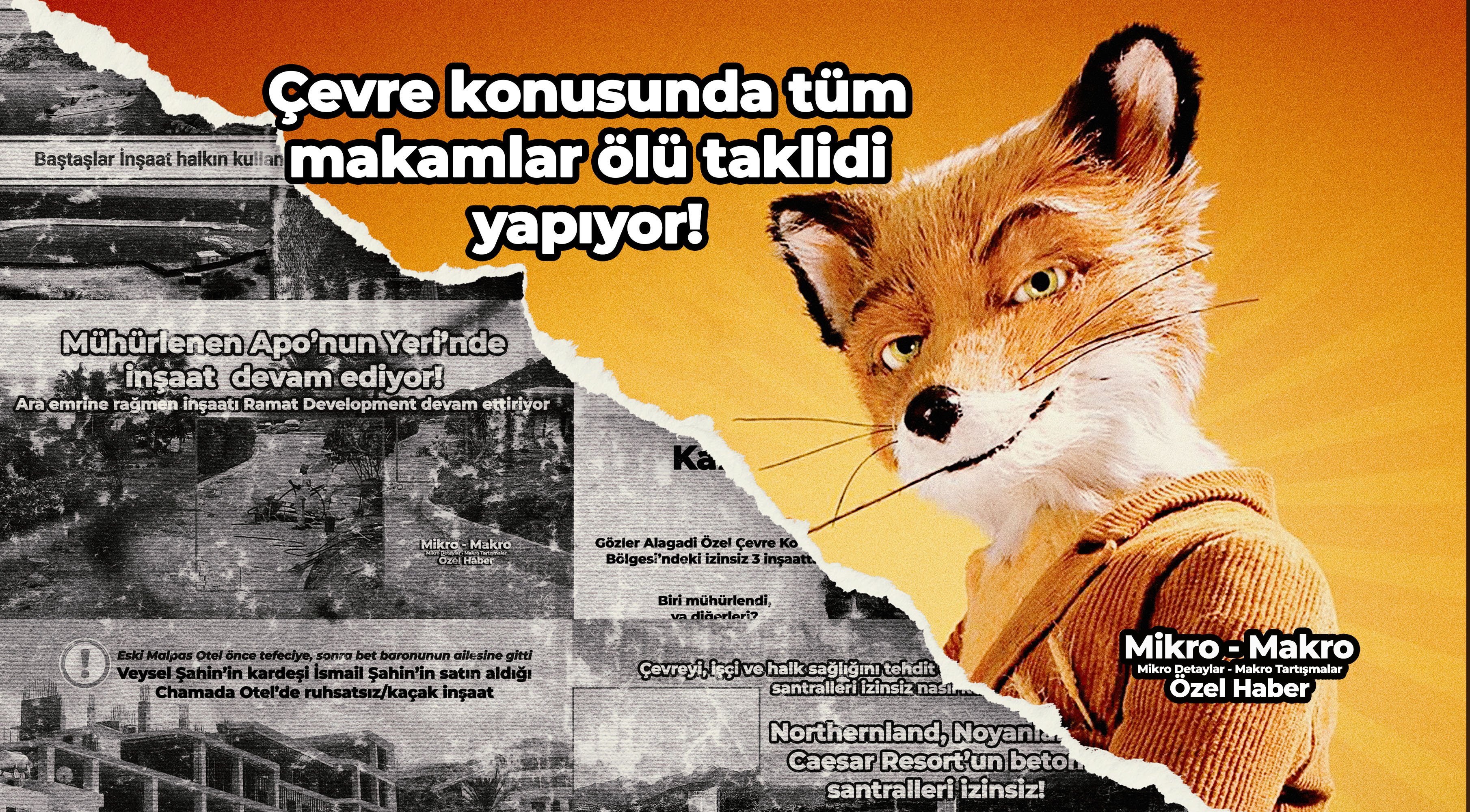 Çevre konusunda tüm makamlar ölü taklidi yapıyor!