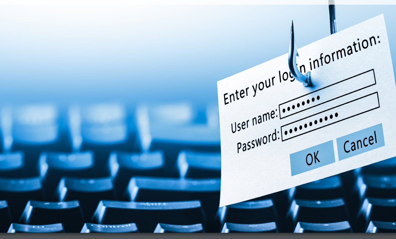 Siber destekli dolandırıcılıkta şüphe göstergelerine ilişkin rapor yayımlandı