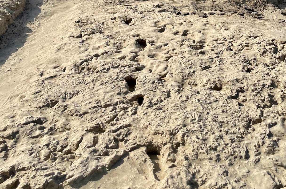 Antik ayak izleri iki tür insan atasının bir arada yaşadığını gösteriyor