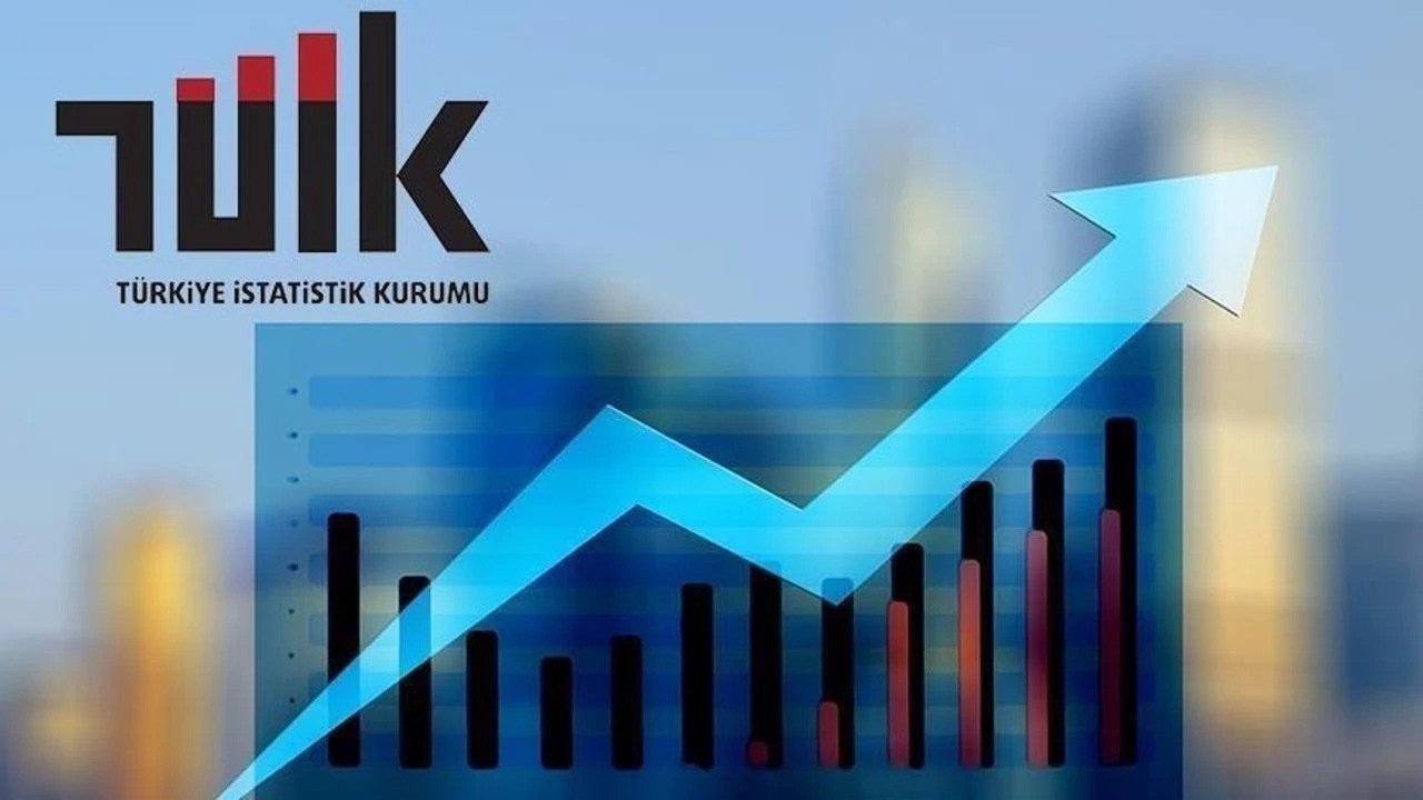 Türkiye İstatistik Kurumu'na göre aralık ayı enflasyonu yüzde 1,03 arttı