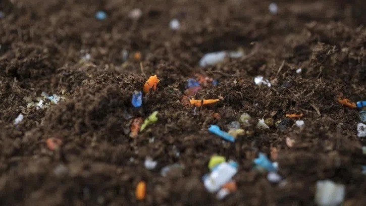 Mikroplastikler bitki fotosentezini engelliyor, gıda kaynaklarını önemli ölçüde azaltıyor