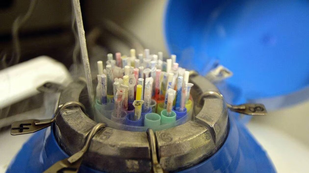 Belçika'da çocuklarda kanser vakaları: Avrupa'da sperm bağışına ilişkin kurallar sorgulanıyor