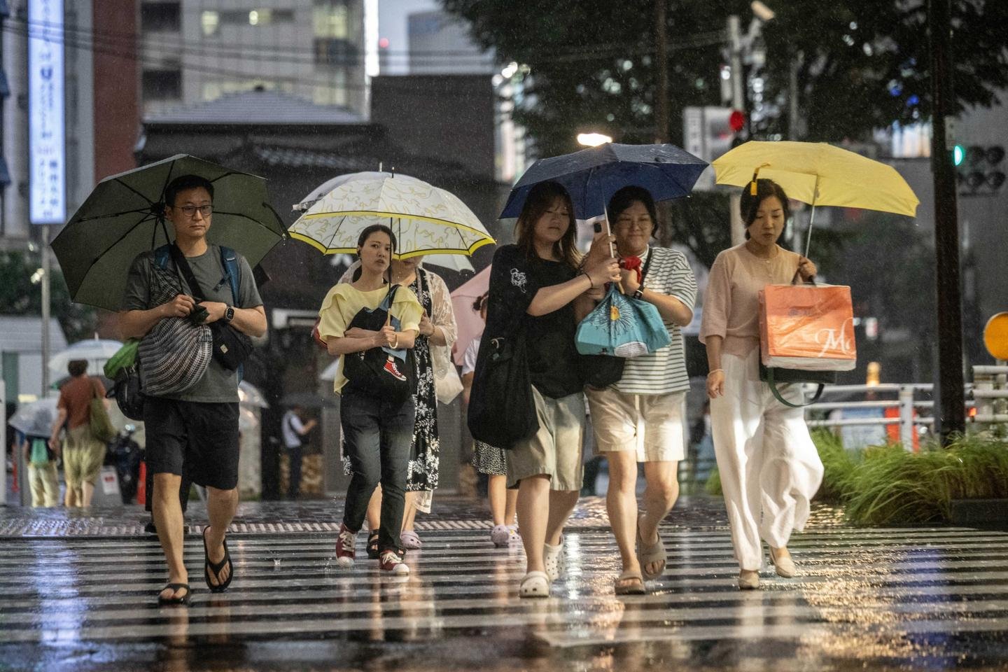 Yağmur suyunda pestisit alarmı: Japon araştırmacılar neonikotinoid tespit etti