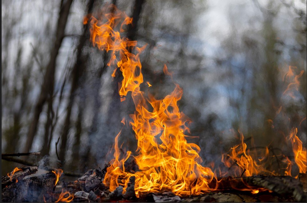 Akdeniz köyünde çıkan yangın kontrol altına alındı