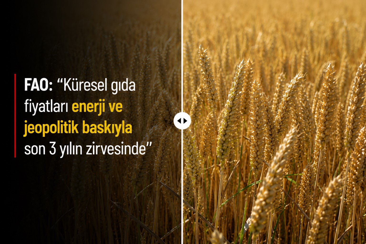 FAO: 'Küresel gıda fiyatları enerji ve jeopolitik baskıyla son 3 yılın zirvesinde'