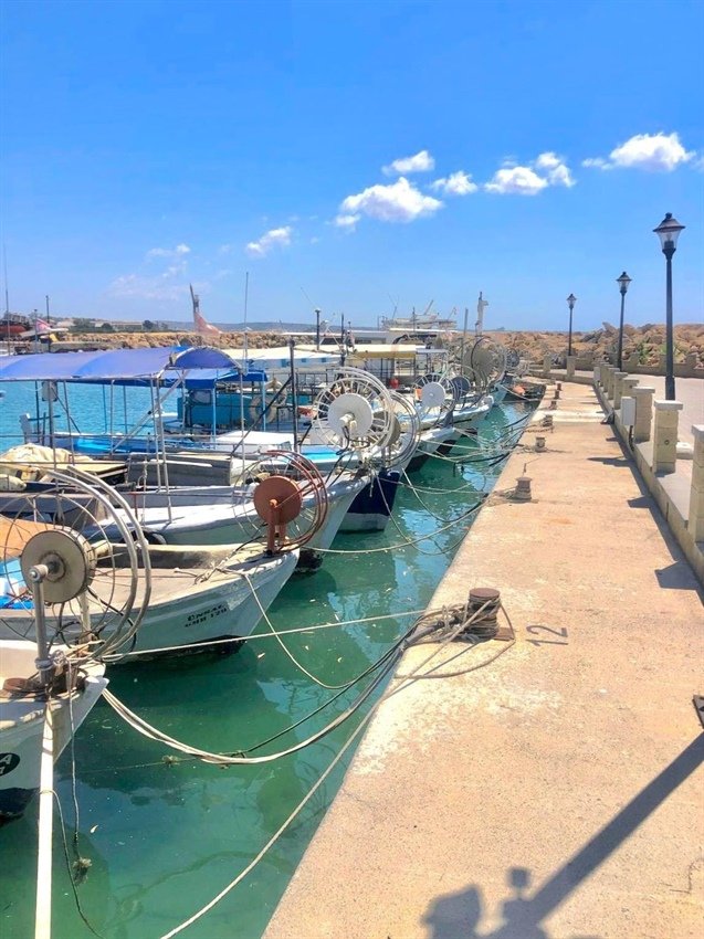 SPOT Marine Life iş birliği ile balıkçılık koruma alanlarının sınırları şamandıralarla belirlendi