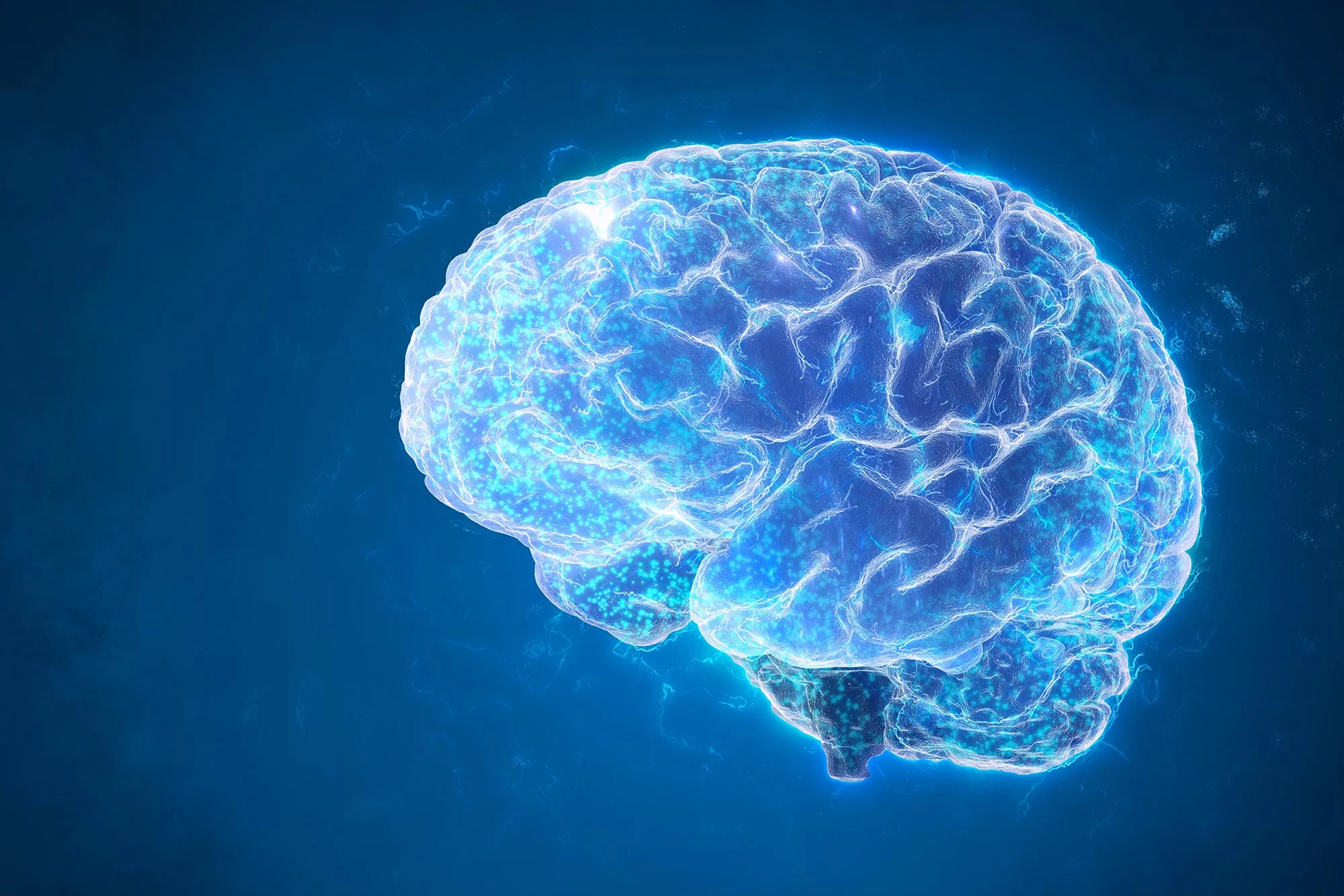 https://mikro-makro.net/bilim-insanlari-derin-uykunun-kas-gelisimi-ve-yag-metabolizmasini-nasil-etkiledigini-kesfetti